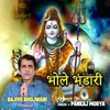 About Bhole Bhandari (feat. Rajive Bhojwani) Song